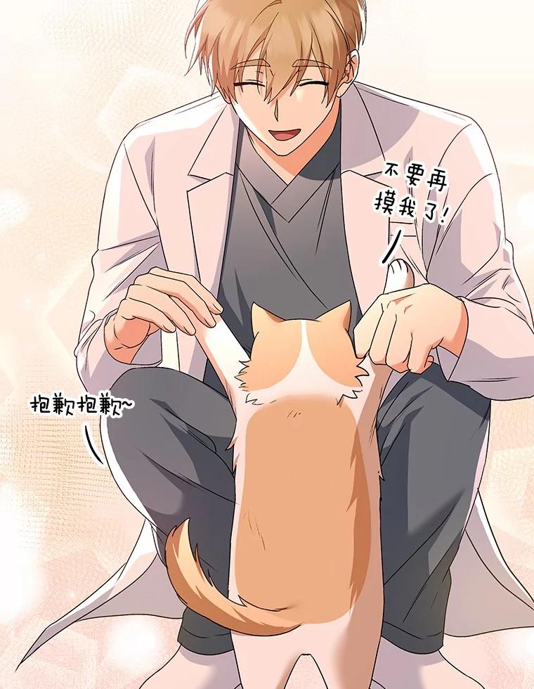 《你好？兽医先生！》40.亲自去看看吧 第52页