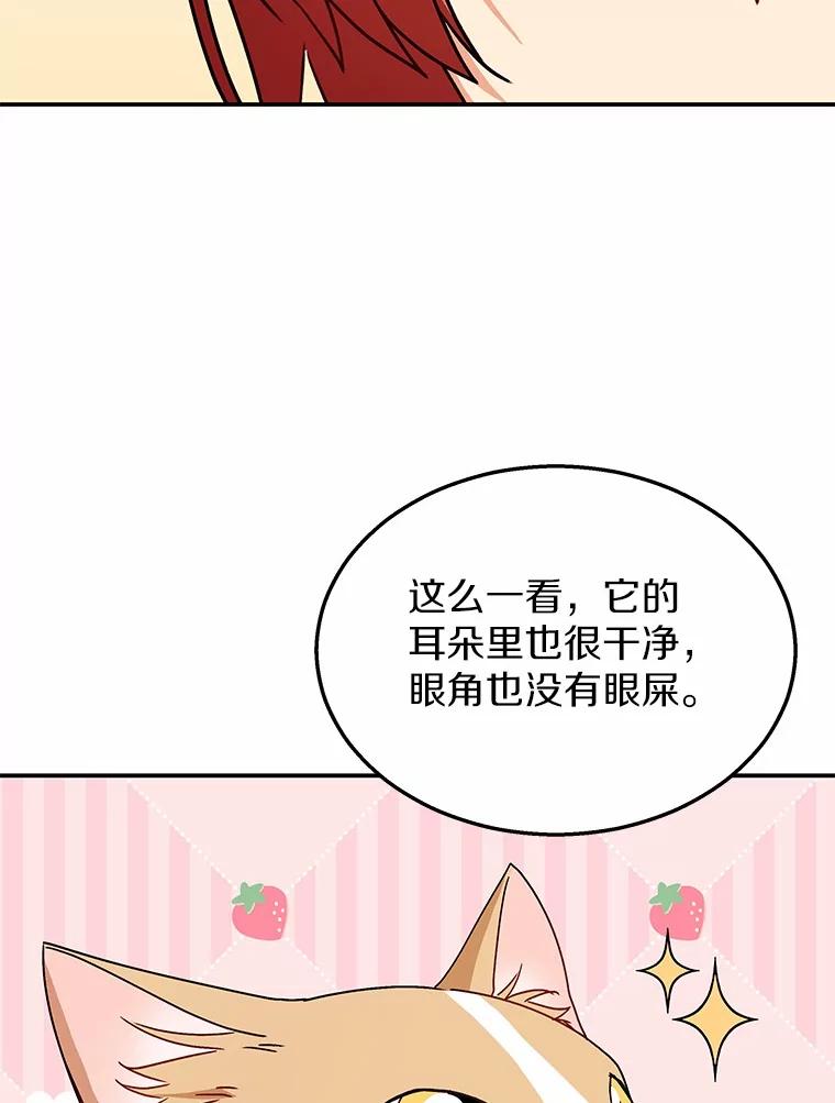 《你好？兽医先生！》40.亲自去看看吧 第42页