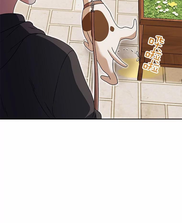 《你好？兽医先生！》41.两只小魔王 第6页
