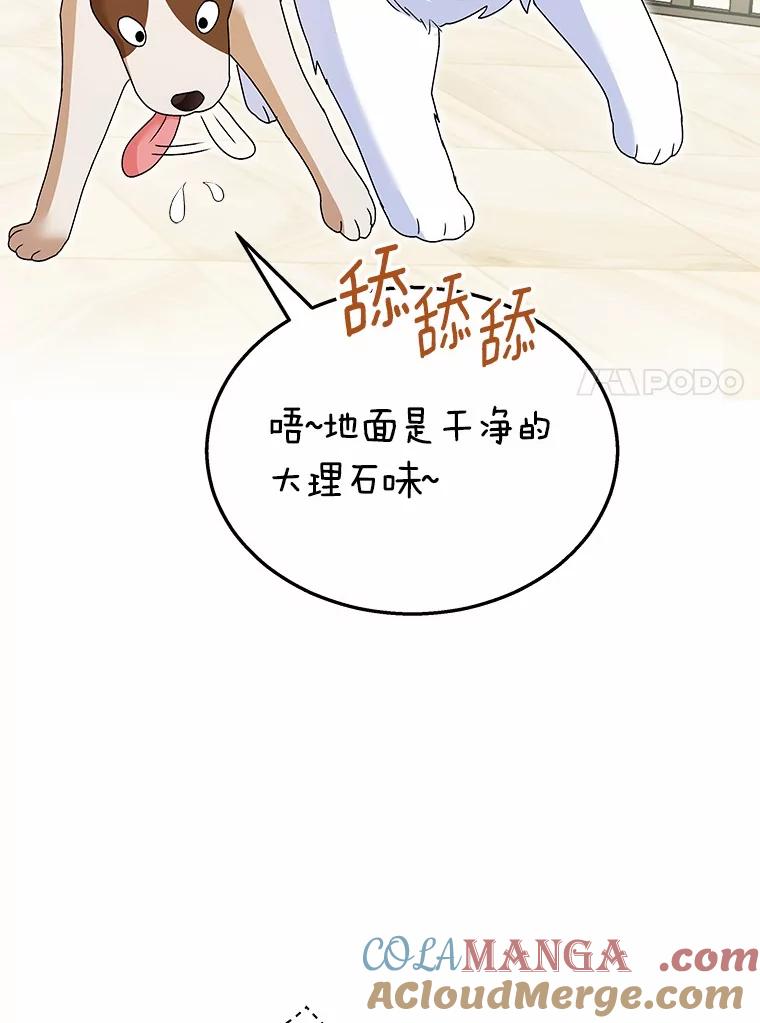 《你好？兽医先生！》41.两只小魔王 第45页