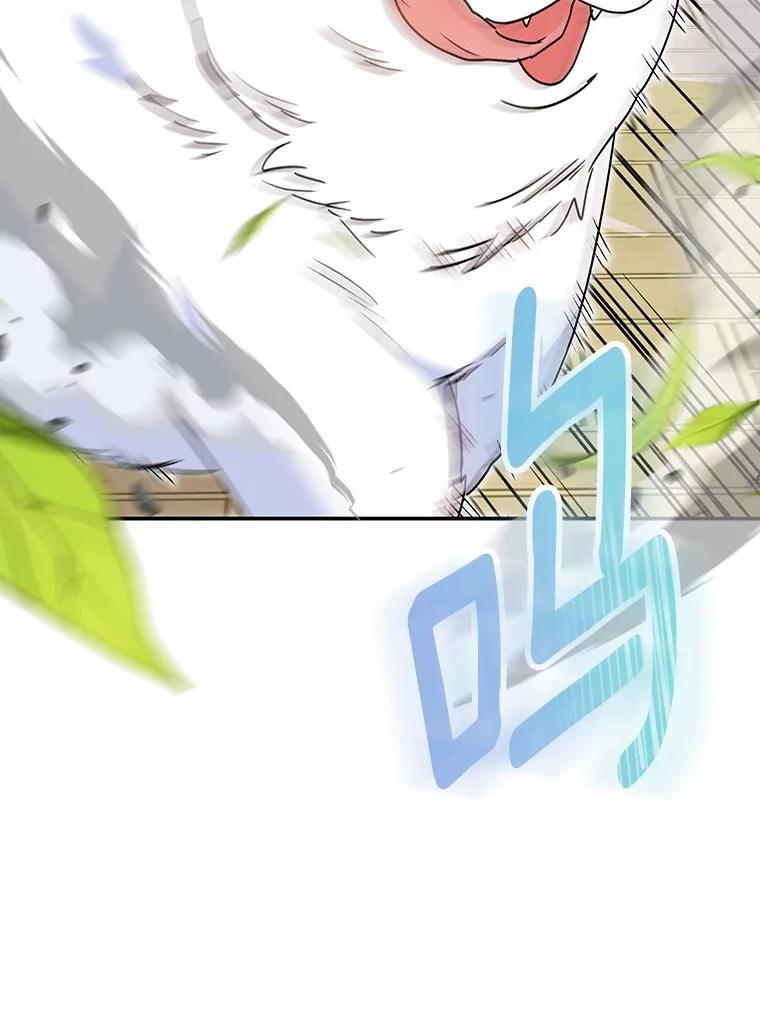 《你好？兽医先生！》41.两只小魔王 第15页