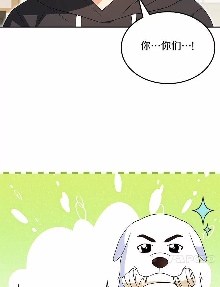《你好？兽医先生！》41.两只小魔王 第104页