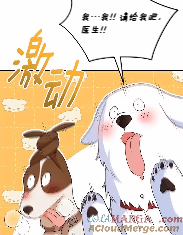 《你好？兽医先生！》41.两只小魔王 第97页