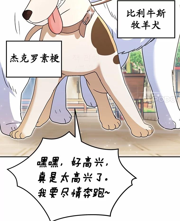 《你好？兽医先生！》41.两只小魔王 第4页