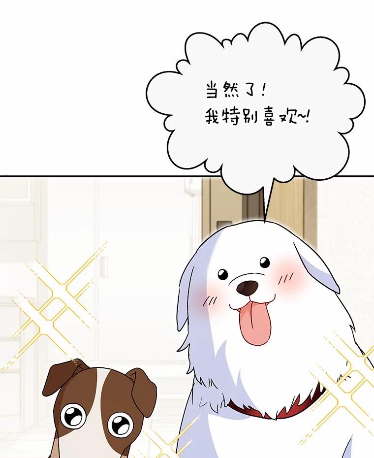 《你好？兽医先生！》41.两只小魔王 第82页