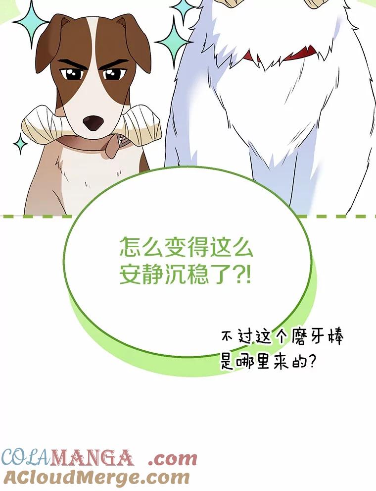 《你好？兽医先生！》41.两只小魔王 第105页