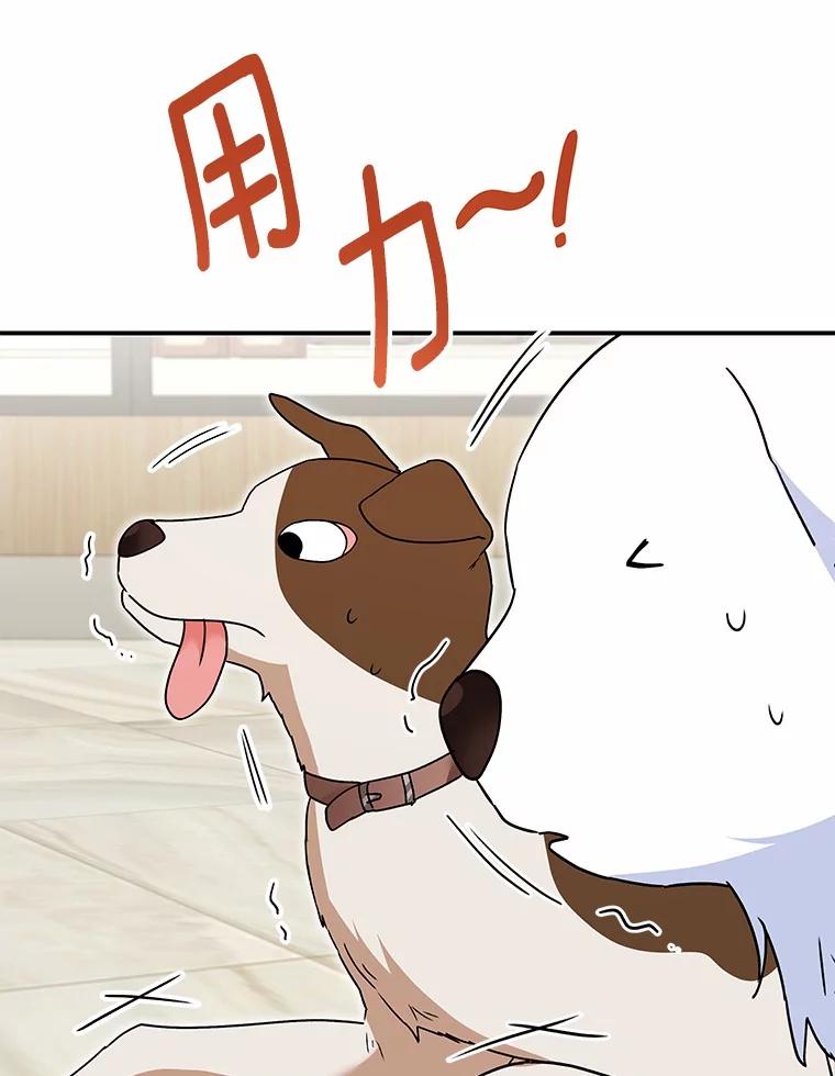 《你好？兽医先生！》41.两只小魔王 第62页