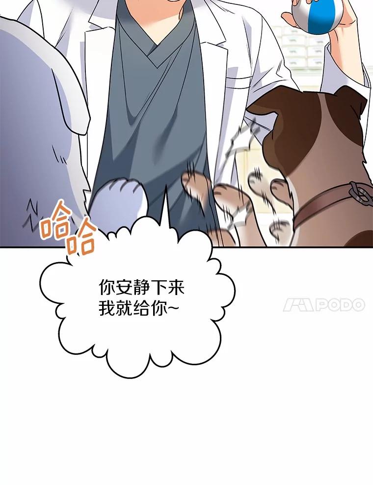 《你好？兽医先生！》41.两只小魔王 第71页