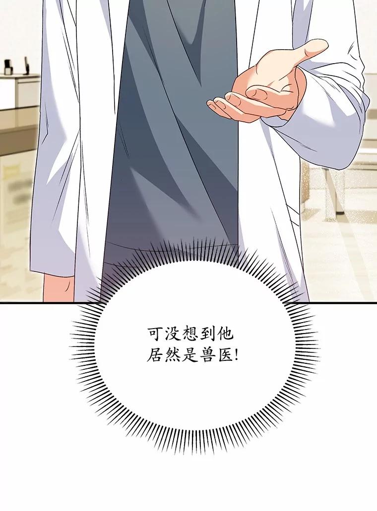 《你好？兽医先生！》41.两只小魔王 第50页