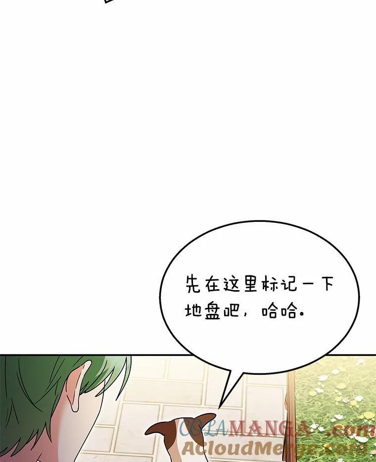 《你好？兽医先生！》41.两只小魔王 第5页