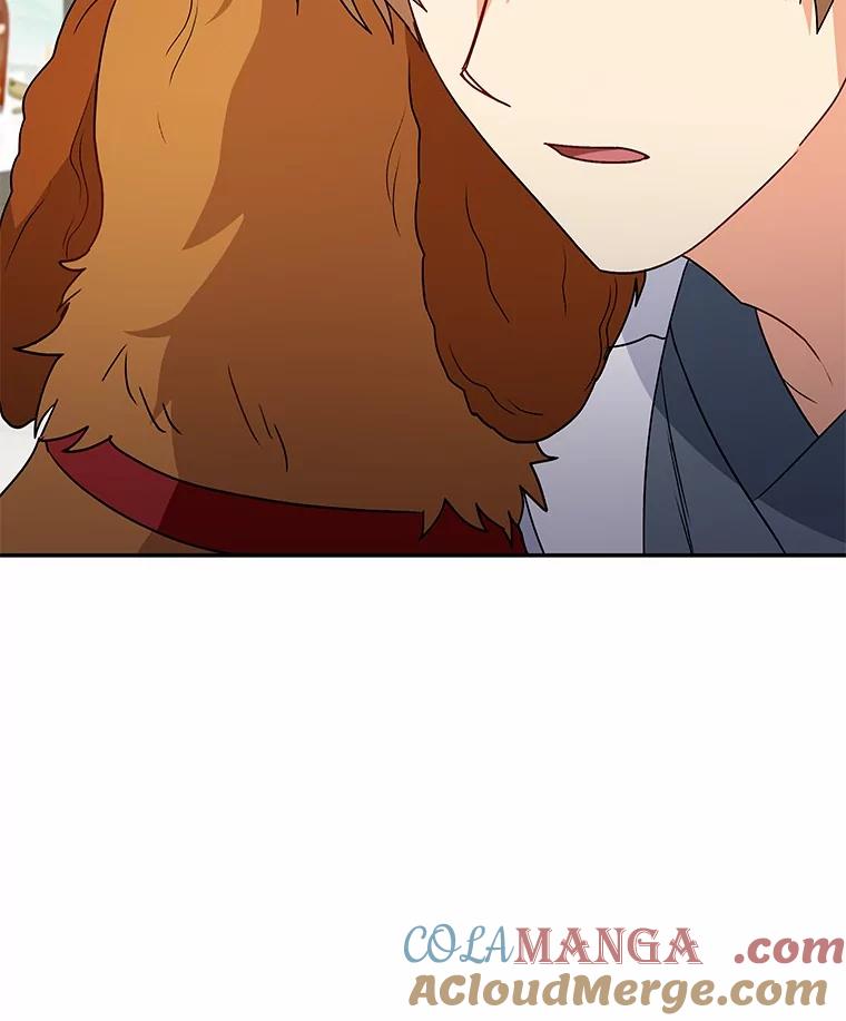《你好？兽医先生！》42.可怜的阿基（1） 第37页