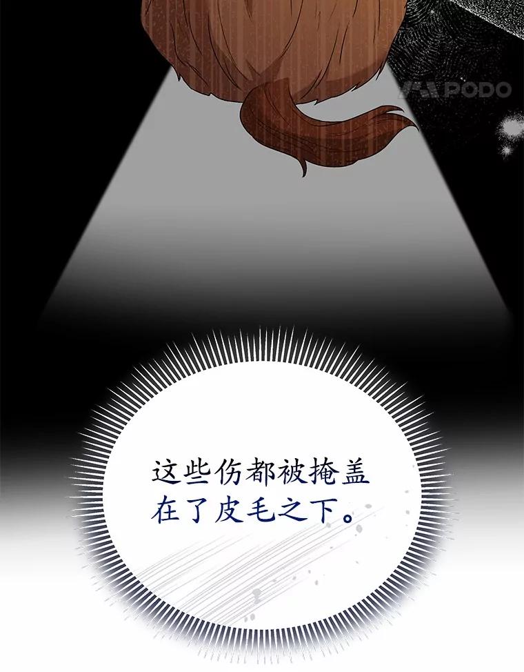 《你好？兽医先生！》42.可怜的阿基（1） 第80页