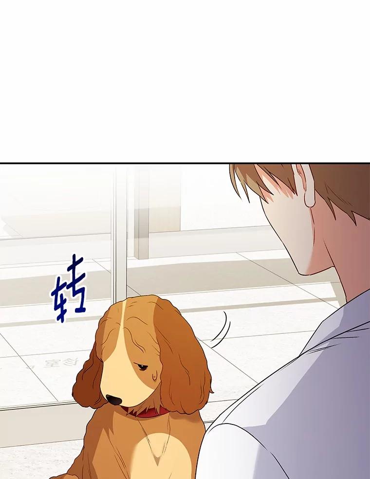 《你好？兽医先生！》42.可怜的阿基（1） 第68页