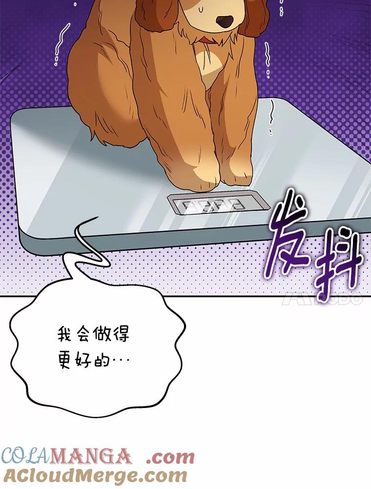 《你好？兽医先生！》42.可怜的阿基（1） 第93页