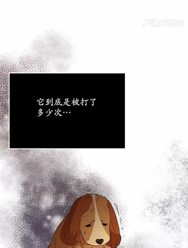 《你好？兽医先生！》42.可怜的阿基（1） 第100页