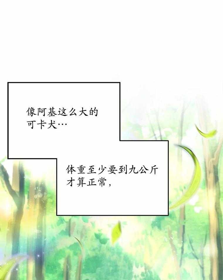 《你好？兽医先生！》42.可怜的阿基（1） 第84页