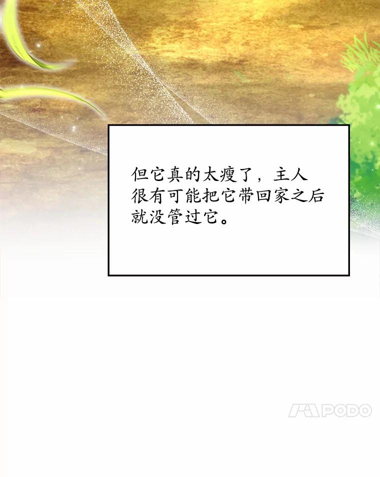 《你好？兽医先生！》42.可怜的阿基（1） 第86页