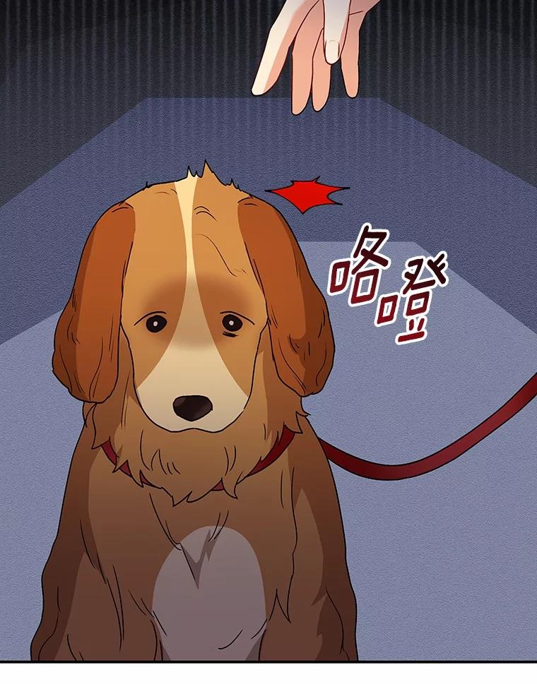 《你好？兽医先生！》42.可怜的阿基（1） 第22页
