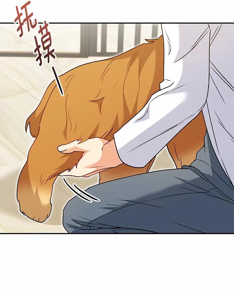 《你好？兽医先生！》42.可怜的阿基（1） 第35页