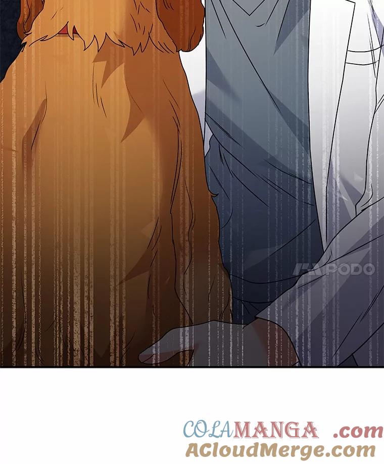 《你好？兽医先生！》42.可怜的阿基（1） 第41页