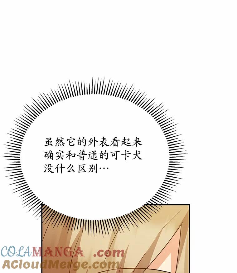 《你好？兽医先生！》42.可怜的阿基（1） 第73页