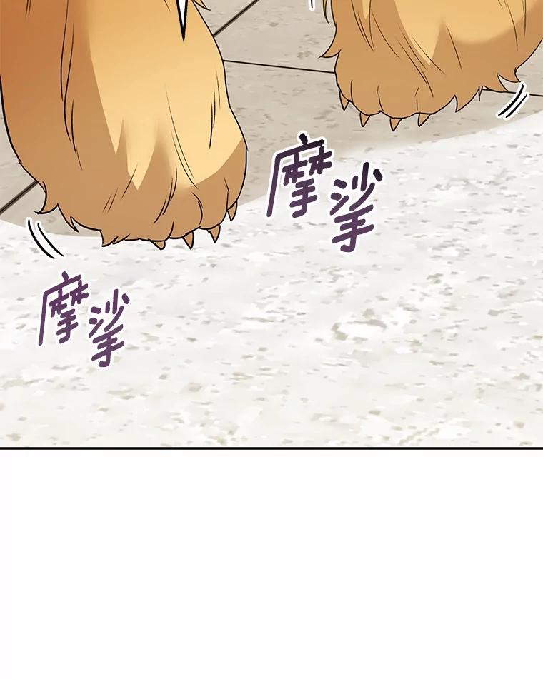 《你好？兽医先生！》42.可怜的阿基（1） 第64页