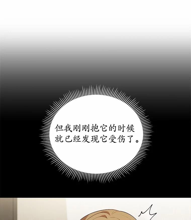 《你好？兽医先生！》42.可怜的阿基（1） 第75页