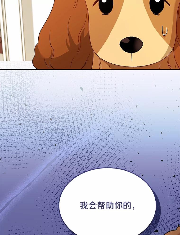 《你好？兽医先生！》43.可怜的阿基（2） 第10页