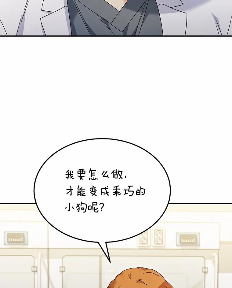 《你好？兽医先生！》43.可怜的阿基（2） 第47页