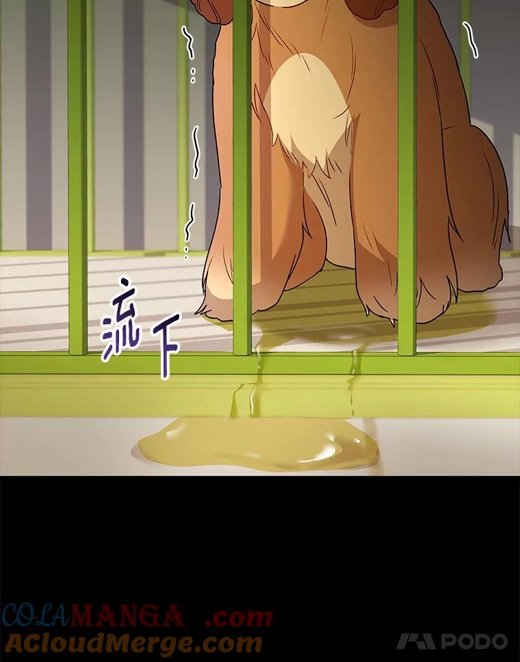 《你好？兽医先生！》43.可怜的阿基（2） 第29页