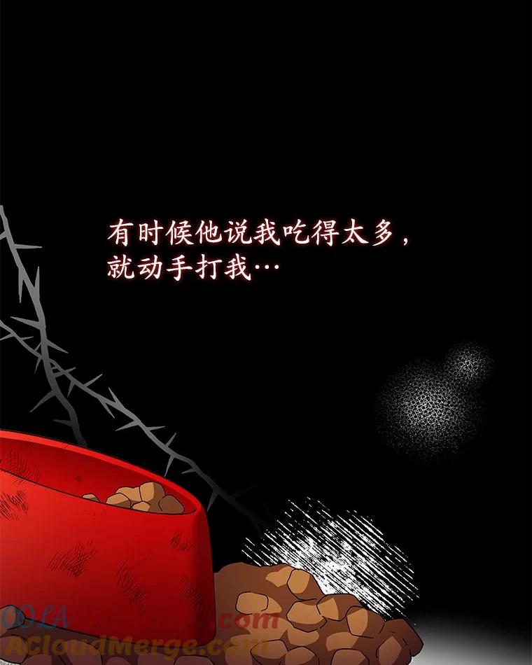 《你好？兽医先生！》43.可怜的阿基（2） 第37页
