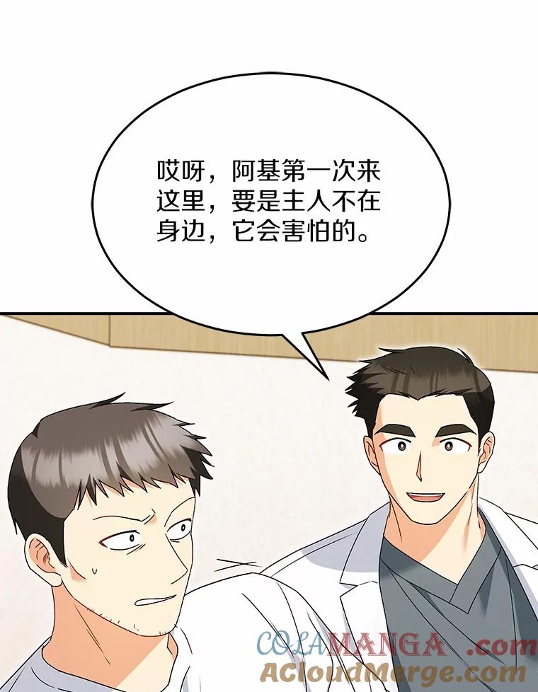 《你好？兽医先生！》44.虐狗犯 第13页