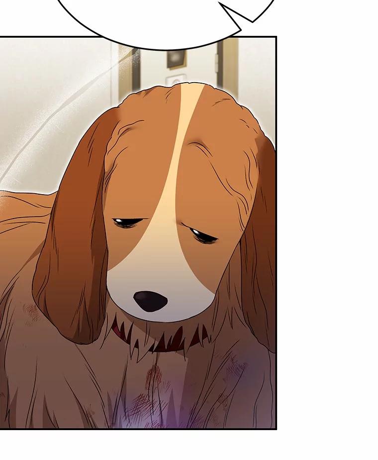 《你好？兽医先生！》44.虐狗犯 第74页