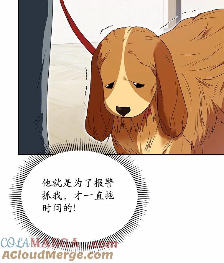 《你好？兽医先生！》45.猫猫出动 第5页