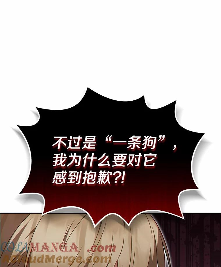 《你好？兽医先生！》45.猫猫出动 第29页