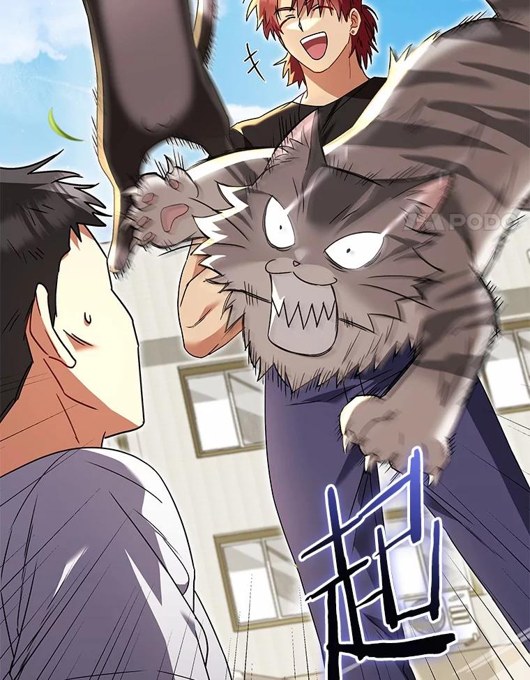 《你好？兽医先生！》45.猫猫出动 第68页