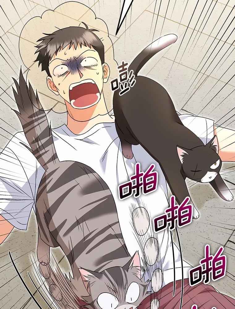 《你好？兽医先生！》45.猫猫出动 第72页