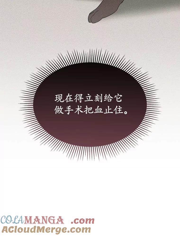 《你好？兽医先生！》46.医生的使命 第113页