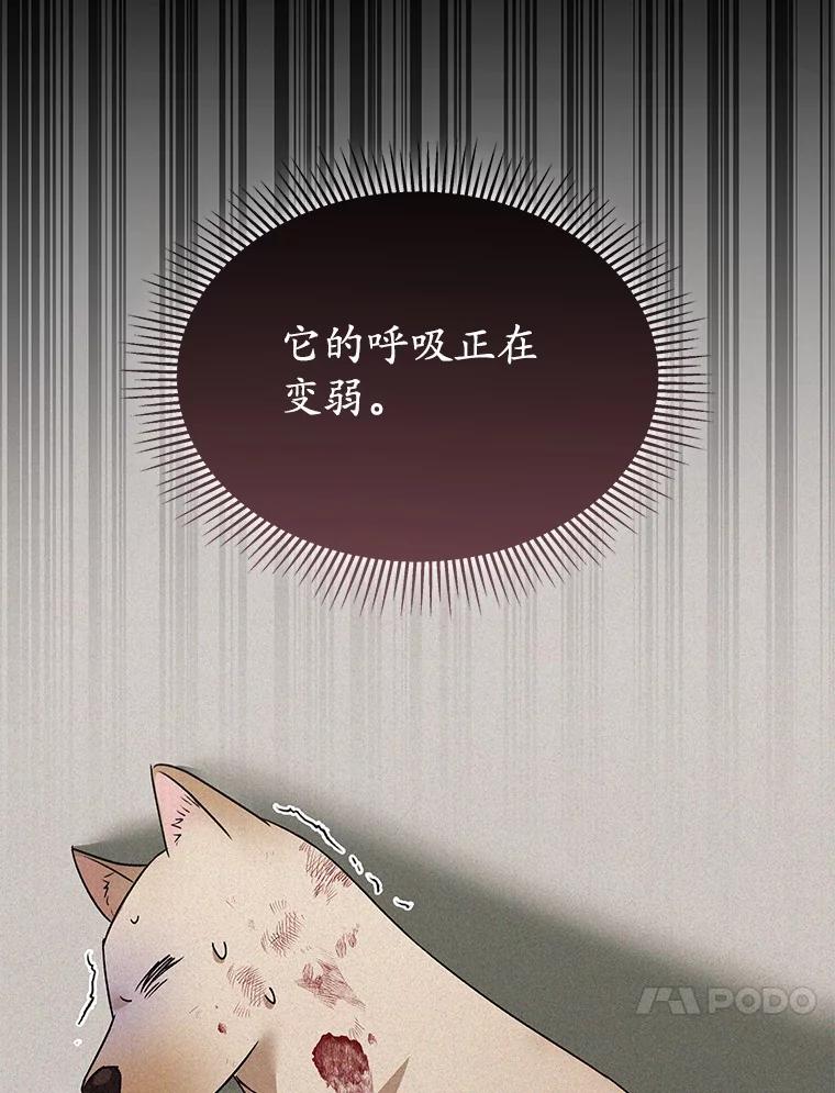 《你好？兽医先生！》46.医生的使命 第111页