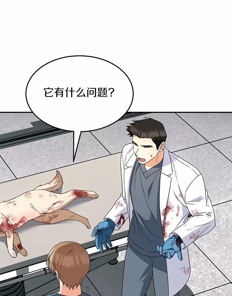 《你好？兽医先生！》46.医生的使命 第104页