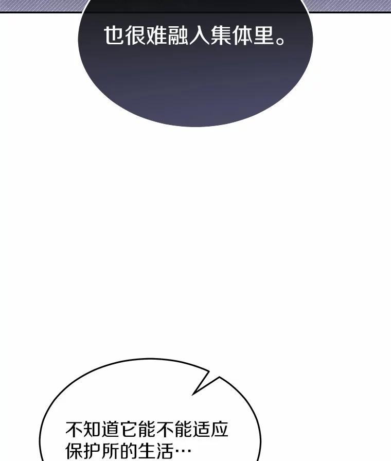 《你好？兽医先生！》46.医生的使命 第60页