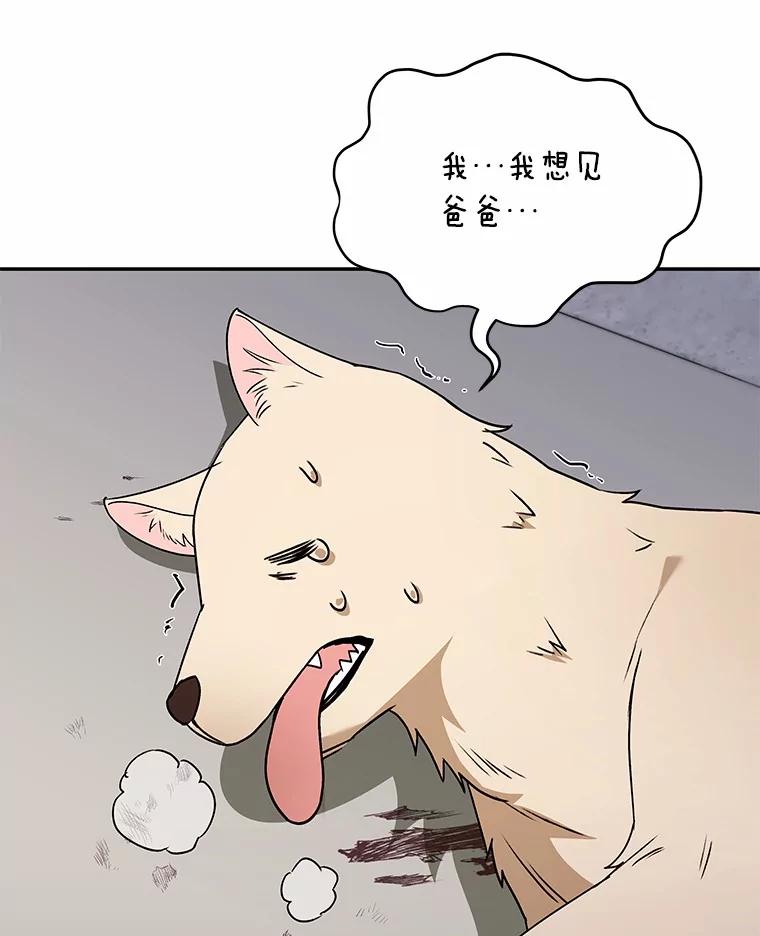 《你好？兽医先生！》47.遗憾 第12页