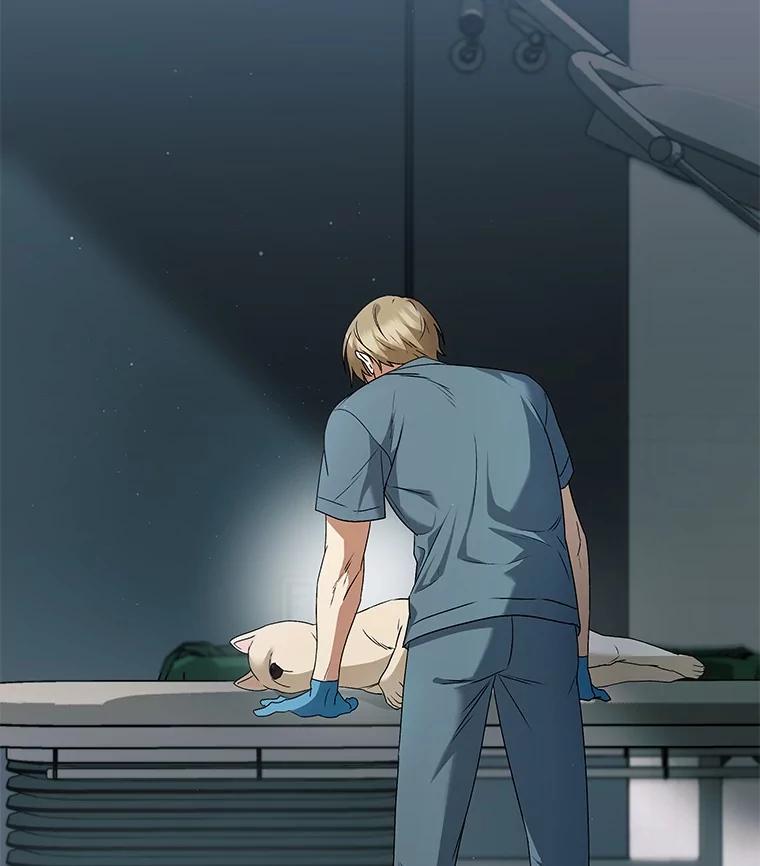《你好？兽医先生！》47.遗憾 第38页