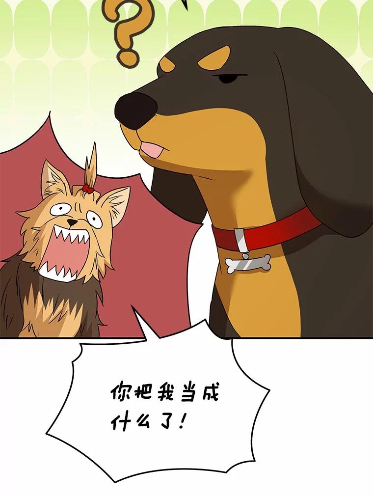《你好？兽医先生！》47.遗憾 第82页