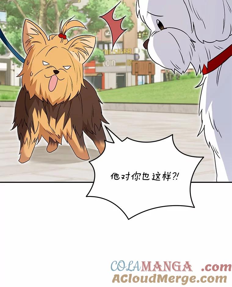 《你好？兽医先生！》47.遗憾 第117页