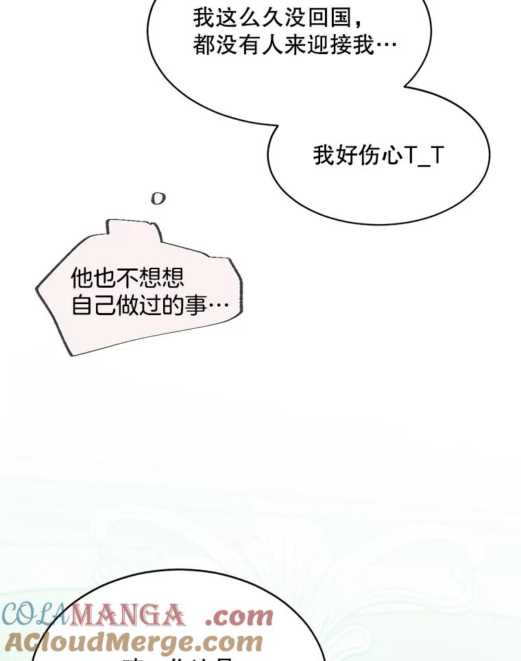 《触发嫉妒》47.回国 第29页