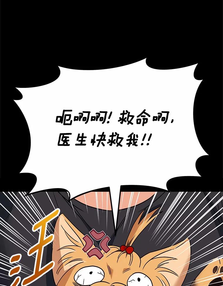 《你好？兽医先生！》47.遗憾 第86页