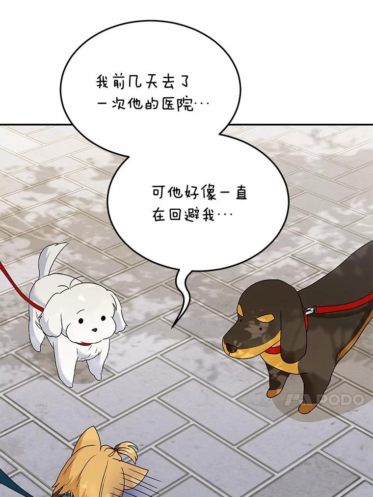 《你好？兽医先生！》47.遗憾 第80页