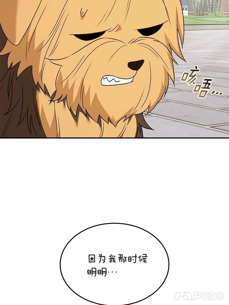 《你好？兽医先生！》47.遗憾 第84页