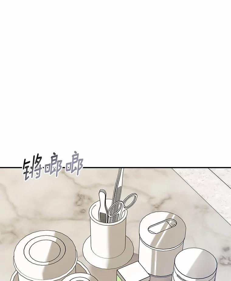 《你好？兽医先生！》48.兽医的职责 第90页
